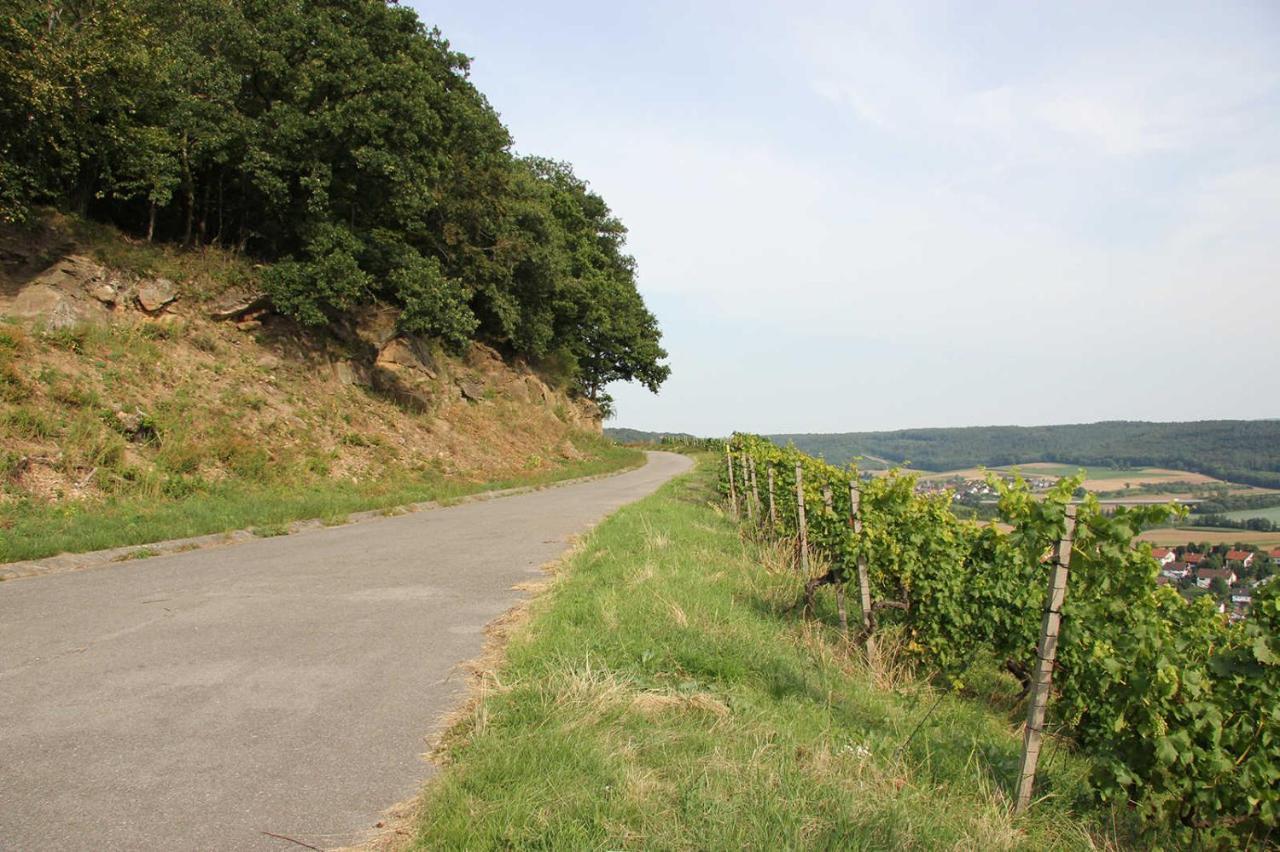 Weinlodge Am Geissberg 埃伯施塔特 外观 照片